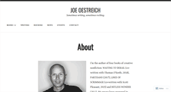 Desktop Screenshot of joeoestreich.com